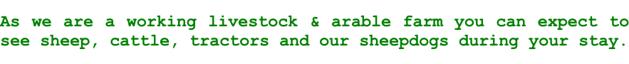 As we are a working livestock & arable farm you can expect to see sheep, cattle, tractors and our sheepdogs during your stay.